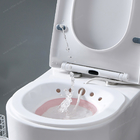 CE Test Toliet clean Vagina portable v siedzisko parowe kąpiel kobiety yoni siedzisko parowe