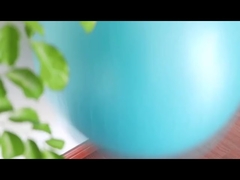 Przeciwwybuchowa pcv Fitness 45 cm piłka do jogi z pompką powietrzną piłka do ćwiczeń sprzęt do ćwiczeń piłka do jogi